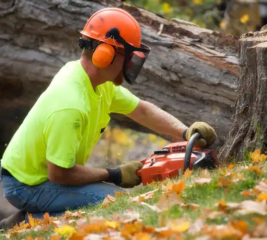 tree services Youngsville